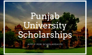 Punjab University